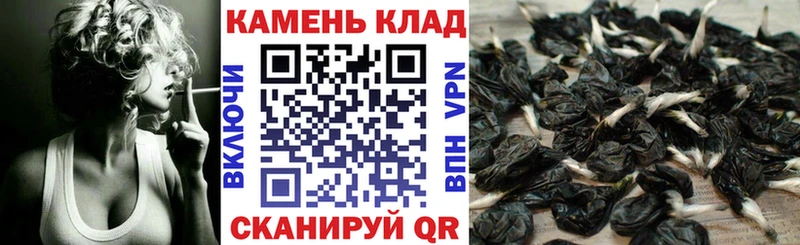 ГАШ Premium  Лысьва 
