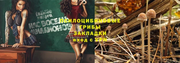 хмурый Алексеевка