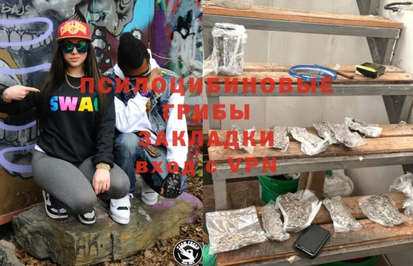 хмурый Алексеевка