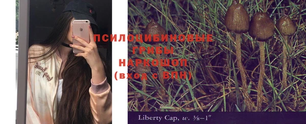 хмурый Алексеевка