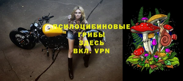 хмурый Алексеевка