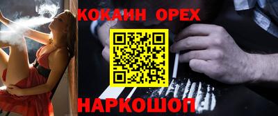 дживик Кингисепп