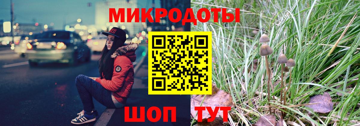 Псилоцибиновые грибы GOLDEN TEACHER Лысьва