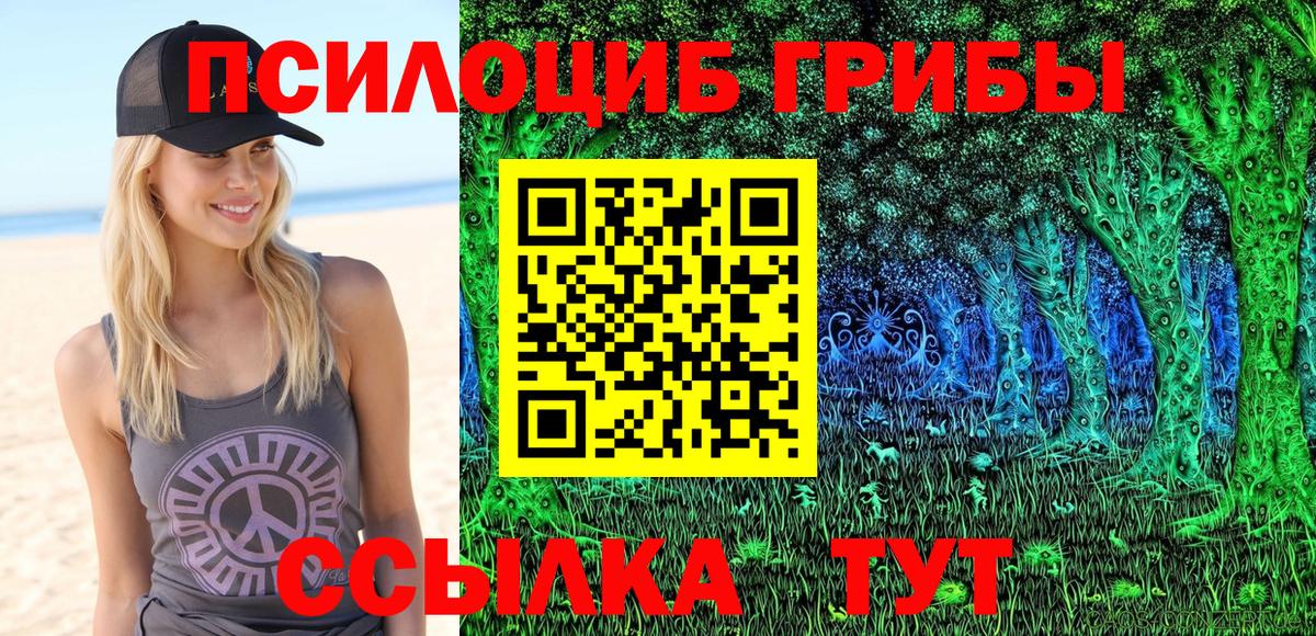Лысьва  Псилоцибиновые грибы ЛСД  Вход с VPN 